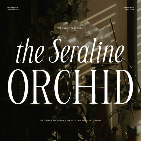 Seraline Orchid – Modern Elegant Serif