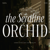 Seraline Orchid – Modern Elegant Serif