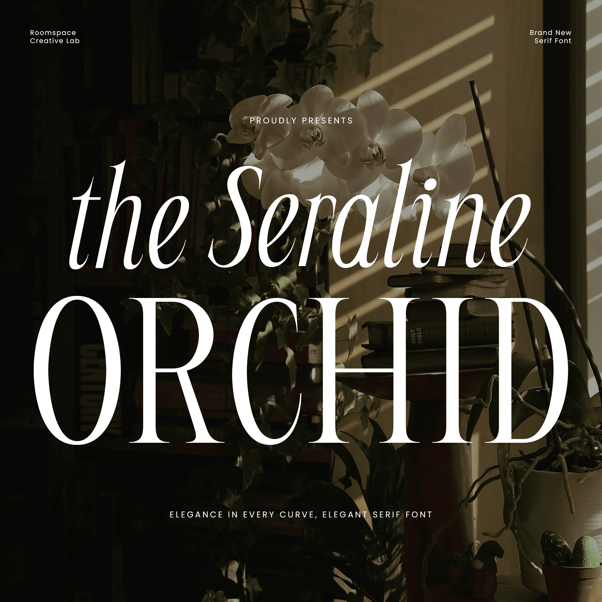 seraline-orchid-modern-elegant-serif-roomspace-creative-lab-1.png