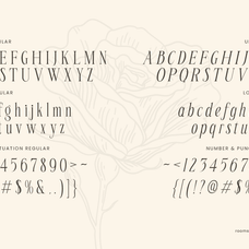 seraline-orchid-modern-elegant-serif-roomspace-creative-lab-10.png