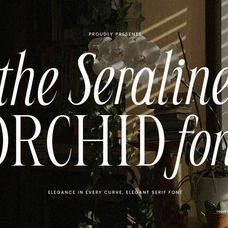 seraline-orchid-modern-elegant-serif-roomspace-creative-lab-11.png