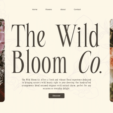 seraline-orchid-modern-elegant-serif-roomspace-creative-lab-4.png