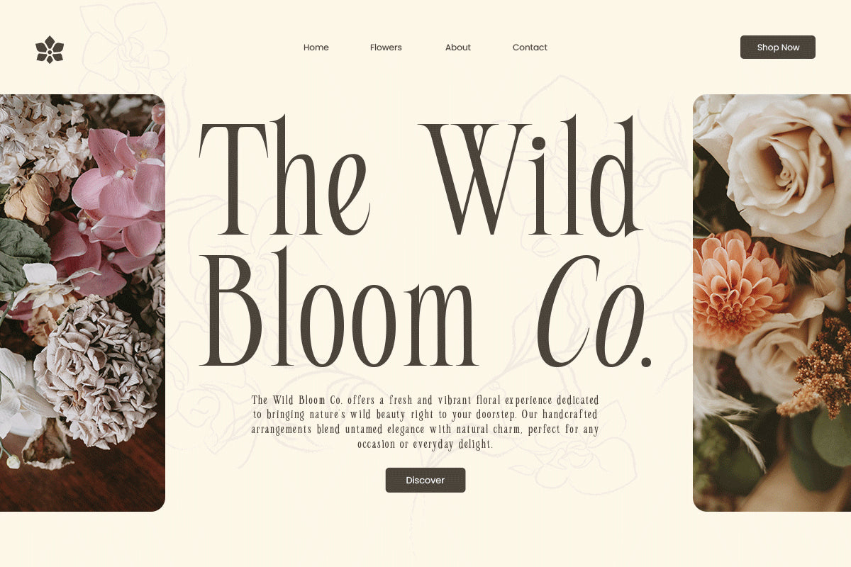 seraline-orchid-modern-elegant-serif-roomspace-creative-lab-4.png
