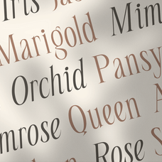 seraline-orchid-modern-elegant-serif-roomspace-creative-lab-9.png