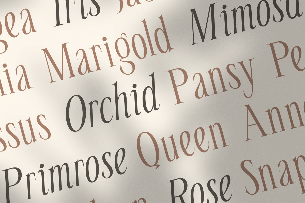 seraline-orchid-modern-elegant-serif-roomspace-creative-lab-9.png