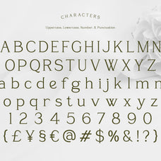 sevoilla-elegant-serif-typeface-font-vadova-studio-2.jpg