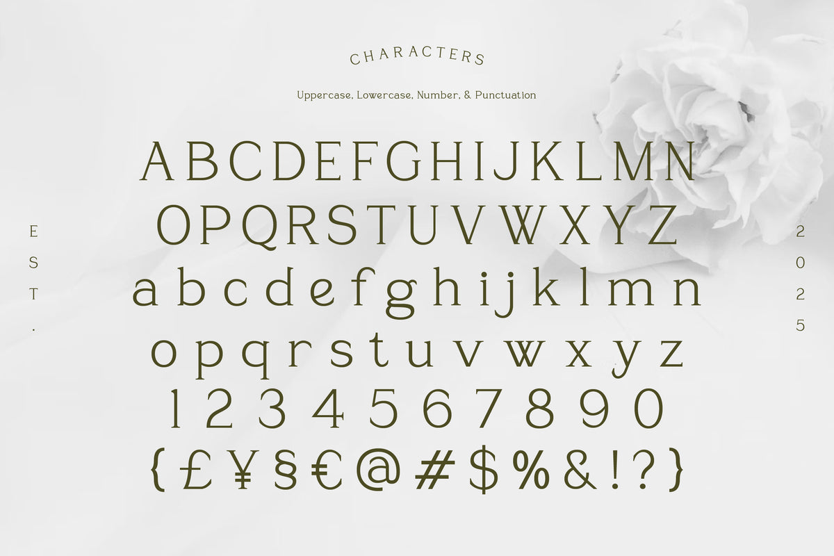 sevoilla-elegant-serif-typeface-font-vadova-studio-2.jpg