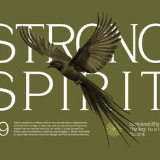sevoilla-elegant-serif-typeface-font-vadova-studio-4.jpg
