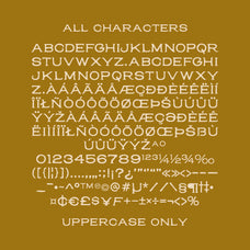 sfc-noble-king-unknown-creator-19.webp