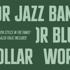 sfc-signsmith-variable-skilline-fonts-co-2.png