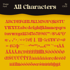 shaga-fun-serif-craft-supply-co-8.jpg