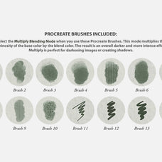 Sharaku Procreate Kit