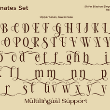 shifer-blastone-elegance-beauty-serif-font-say-studio-10.png
