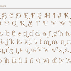 shilmaz-elegant-modern-serif-font-roomspace-creative-lab-10.jpg