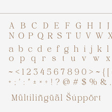 shilmaz-elegant-modern-serif-font-roomspace-creative-lab-11.jpg