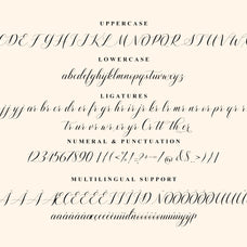 shutterday-elegant-calligraphy-script-font-unknown-creator-11.jpg