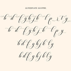 shutterday-elegant-calligraphy-script-font-unknown-creator-12.jpg