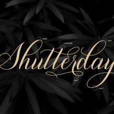 shutterday-elegant-calligraphy-script-font-unknown-creator-7.jpg