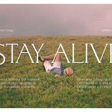 sienna-lounge-serif-font-vadova-studio-4.jpg