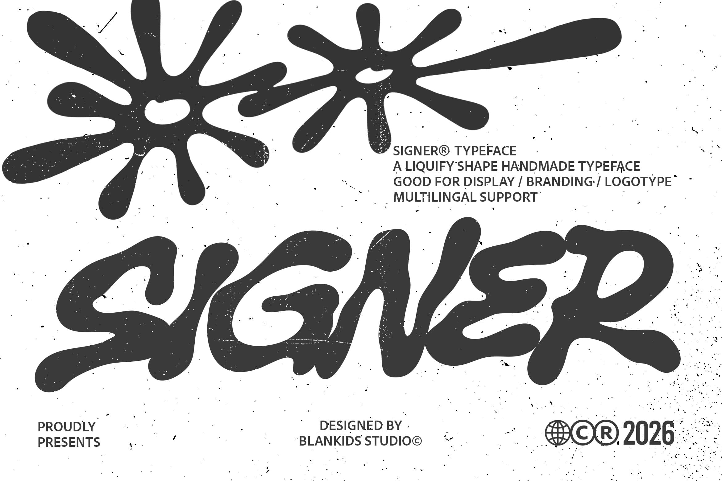 signer-a-bold-liquid-display-typeface-blankids-2.jpg