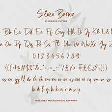 silver-brown-modern-script-font-unknown-creator-11.jpg