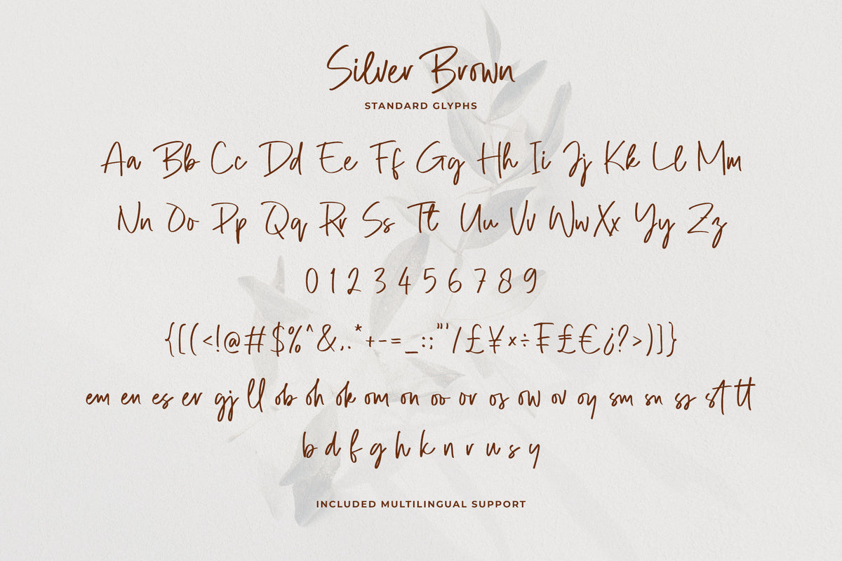 silver-brown-modern-script-font-unknown-creator-11.jpg