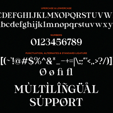 silvora-elegant-editorial-serif-font-ragamkata-studio-7.png