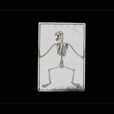 Skeletons & Bones