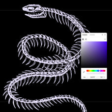 Skeletons & Bones