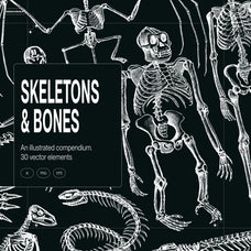 Skeletons & Bones