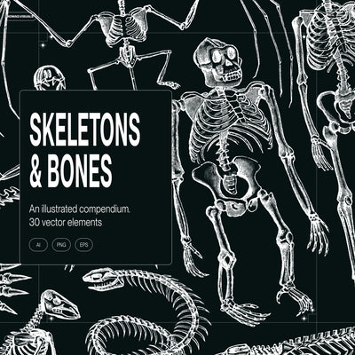 Skeletons & Bones