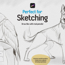sketchbook-procreate-brushes-unknown-creator-5.jpg