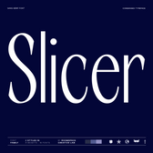 Slicer – Condensed Sans Serif Font Family