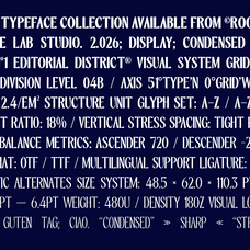 slicer-condensed-sans-serif-font-family-roomspace-creative-lab-11.png
