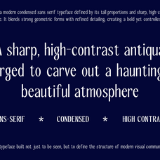 slicer-condensed-sans-serif-font-family-roomspace-creative-lab-2.png