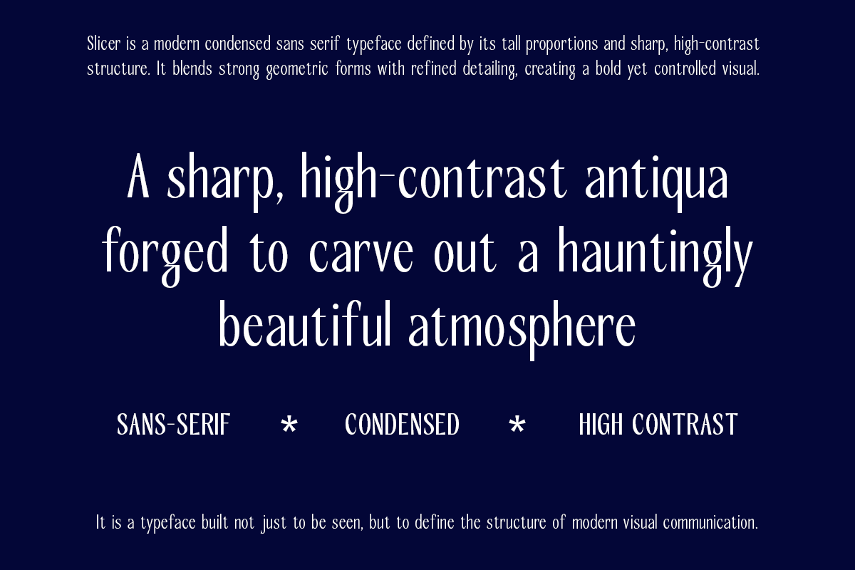 slicer-condensed-sans-serif-font-family-roomspace-creative-lab-2.png