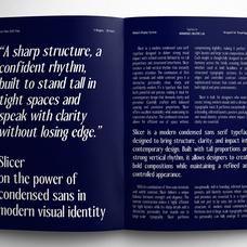 slicer-condensed-sans-serif-font-family-roomspace-creative-lab-3.png