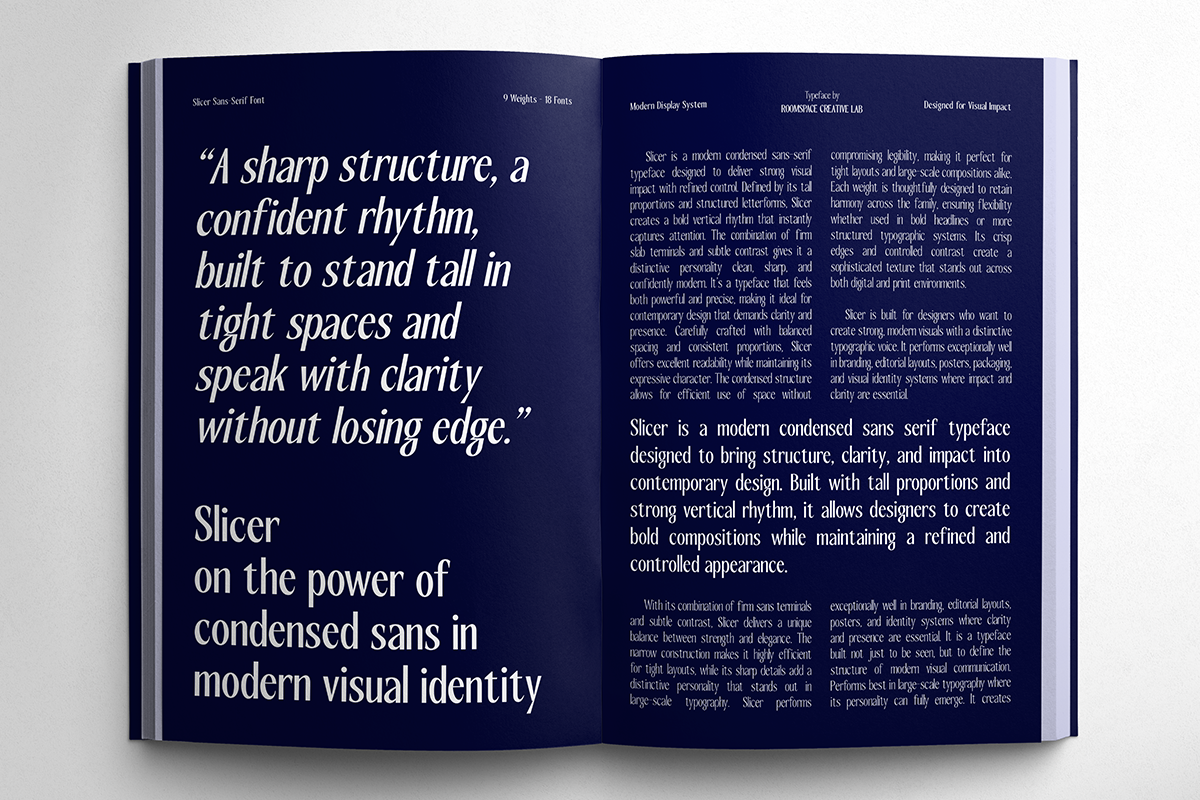 slicer-condensed-sans-serif-font-family-roomspace-creative-lab-3.png