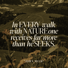 slotera-calse-family-serif-marvadesign-11.png