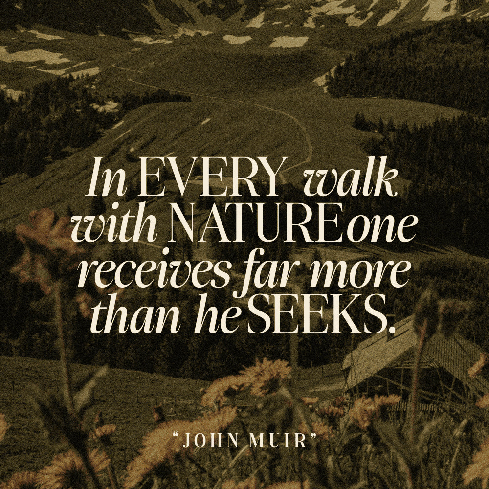 slotera-calse-family-serif-marvadesign-11.png