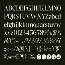 slotera-calse-family-serif-marvadesign-8.png