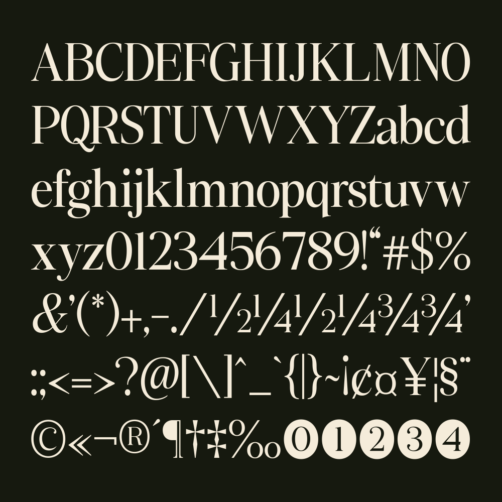 slotera-calse-family-serif-marvadesign-8.png
