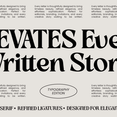 slow-bar-stories-display-serif-amorfatype-studios-2.png