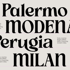 slow-bar-stories-display-serif-amorfatype-studios-3.png