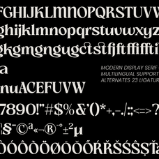 slow-bar-stories-display-serif-amorfatype-studios-5.png