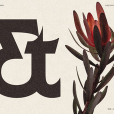 sltf-arcilla-variable-editorial-serif-silverstag-type-foundry-12.jpg