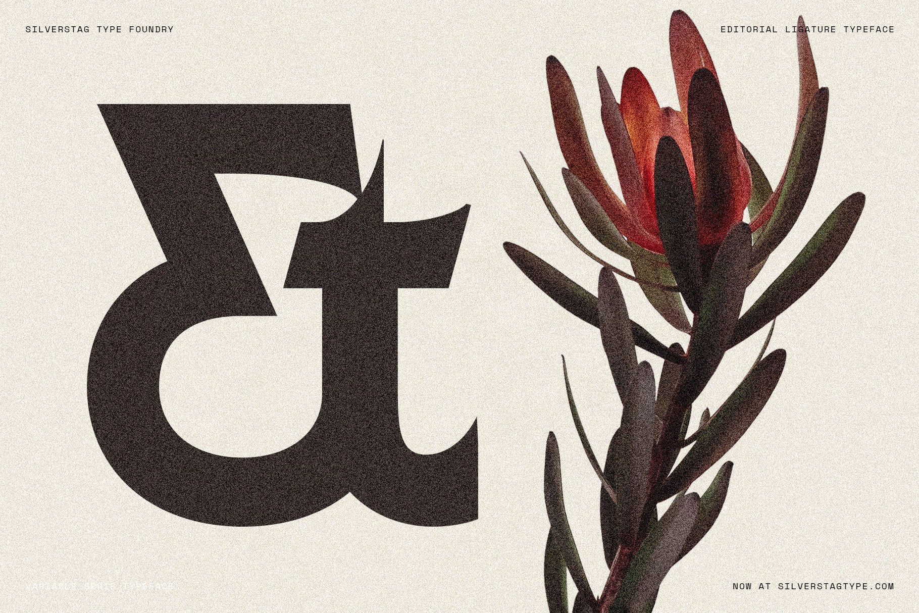 sltf-arcilla-variable-editorial-serif-silverstag-type-foundry-12.jpg