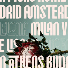 SLTF Celestial Guardians - Condensed Sans Serif Typeface