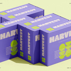 sltf-curo-heavy-display-typeface-silverstag-type-foundry-20.jpg