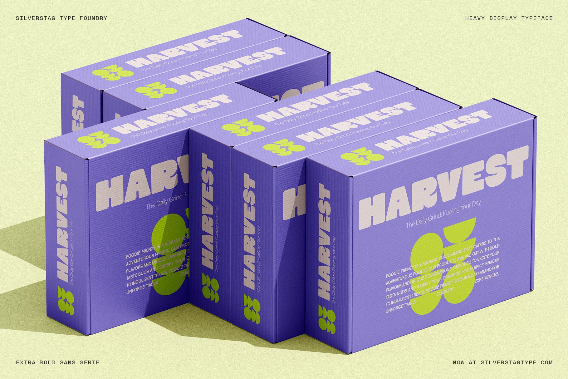 sltf-curo-heavy-display-typeface-silverstag-type-foundry-20.jpg